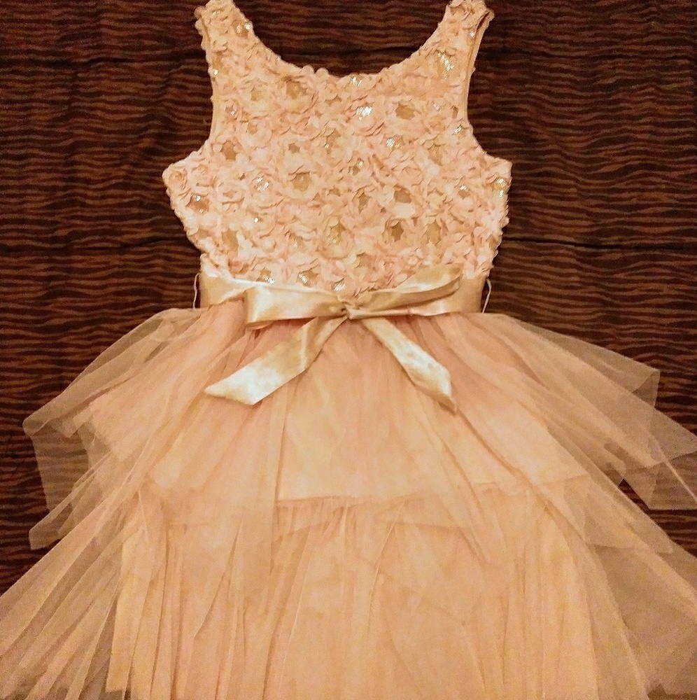 Fancy Blush Floral Dress for Girls